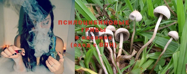экстази Алексин
