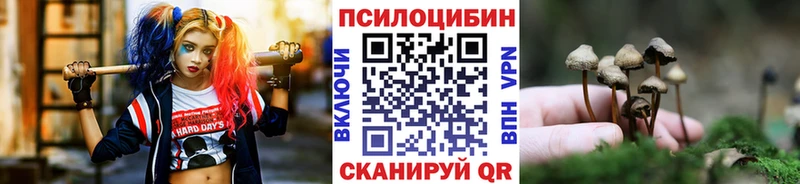 Галлюциногенные грибы мицелий  Заинск 