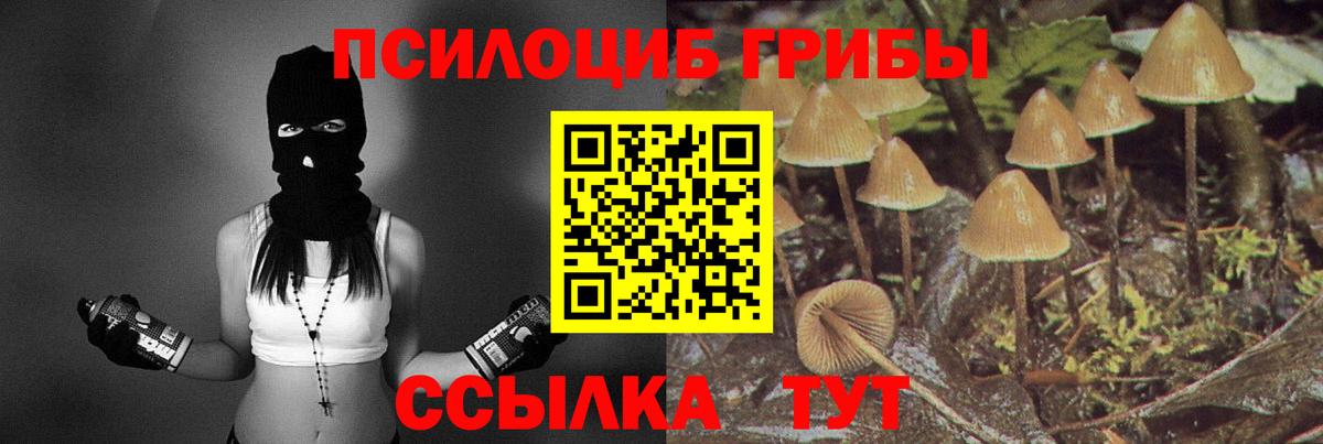 Галлюциногенные грибы прущие грибы  Вход с VPN  Заинск 